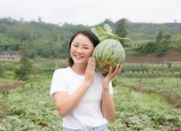 座等吃瓜,揭秘网络热议背后的真相与趣味